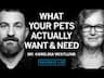Understand What Pets Actually Want & Need | Dr. Karolina Westlund